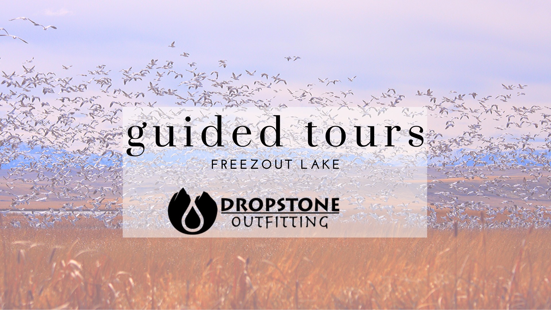 Great Goose Migration - Guided Tours of Freezout Lake